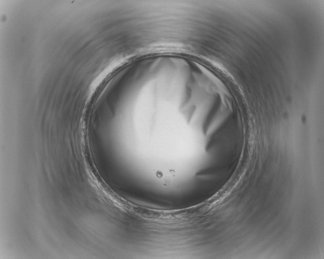 X0000052541325200507221416