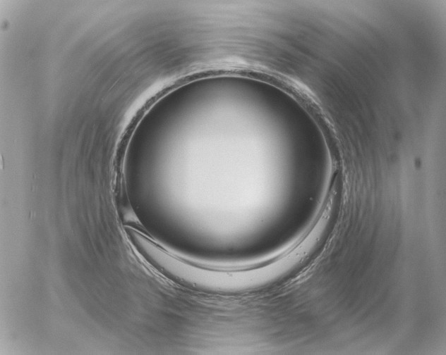 X0000052541326200507221416