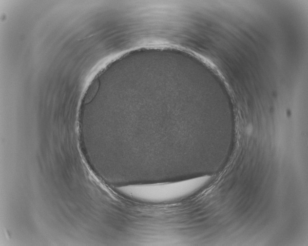 X0000052541327200507221416