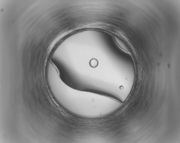 X0000052541328200507221416