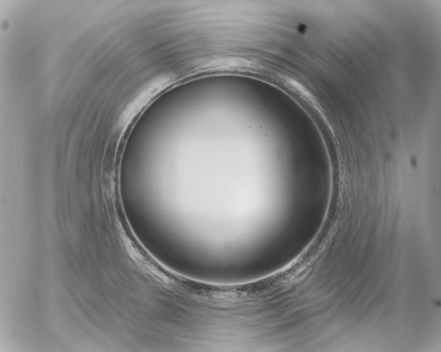 X0000052541330200507221416