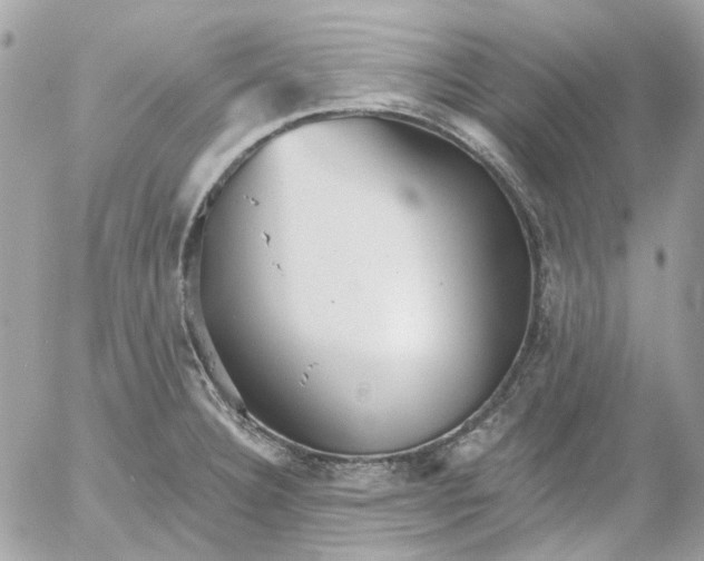 X0000052541332200507221416