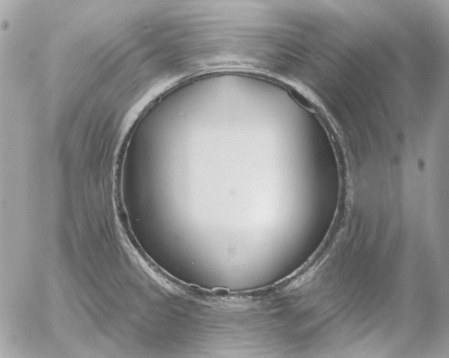 X0000052541333200507221416