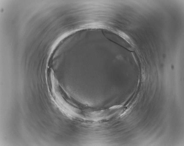 X0000052541334200507221416