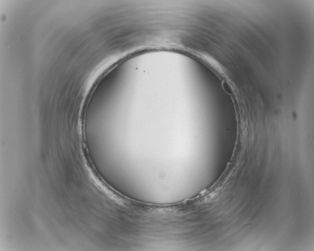 X0000052541335200507221416