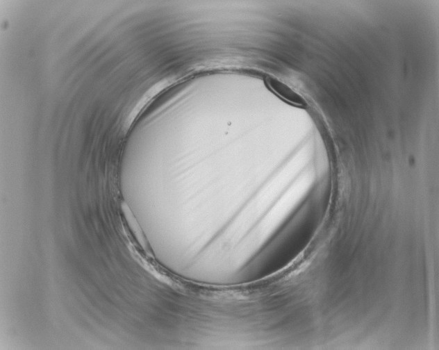 X0000052541337200507221416