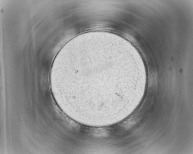 X0000052541338200507221416