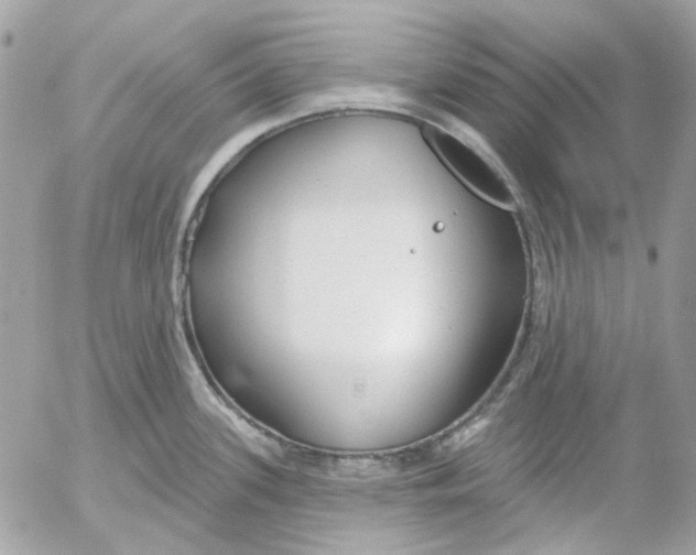 X0000052541339200507221416