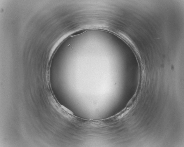 X0000052541340200507221416