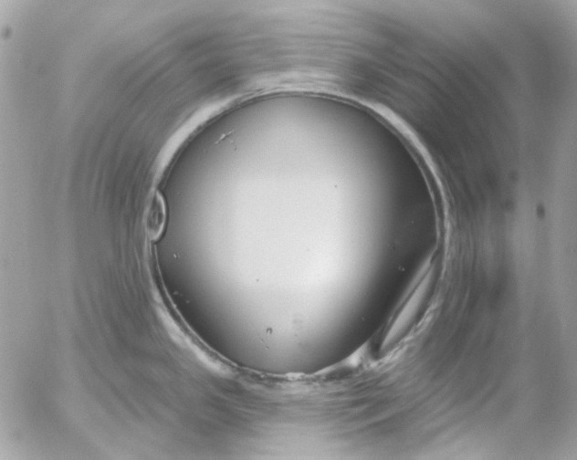 X0000052541341200507221416