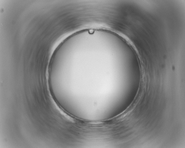 X0000052541343200507221416