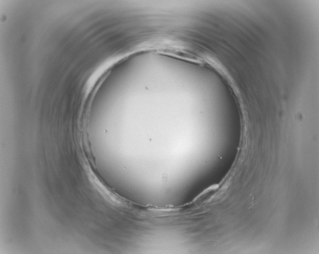 X0000052541344200507221416