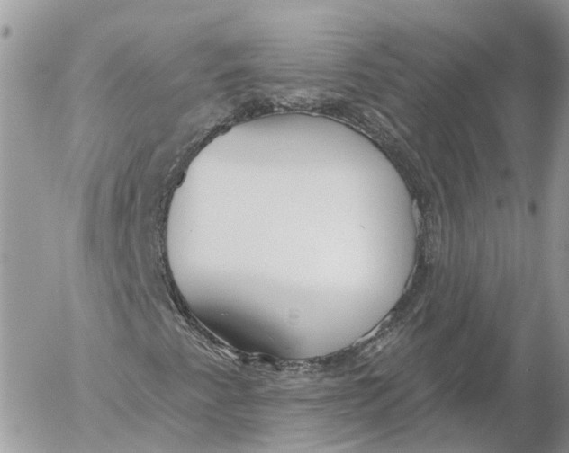 X0000052541345200507221415