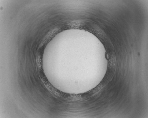 X0000052541346200507221415