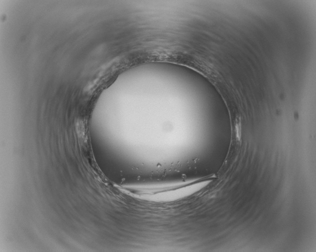 X0000052541347200507221415