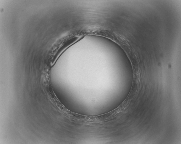 X0000052541349200507221415