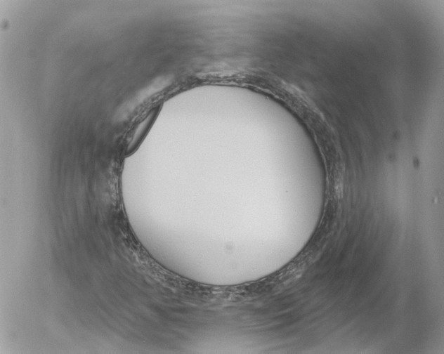 X0000052541350200507221415