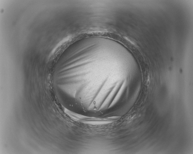 X0000052541351200507221415