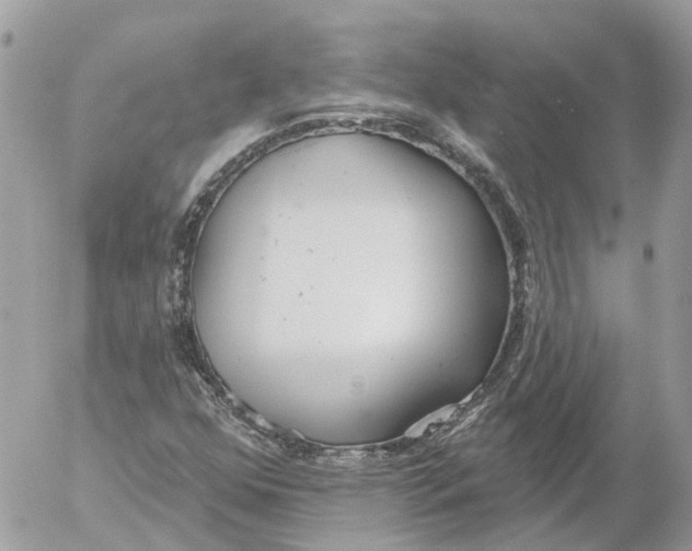 X0000052541352200507221415