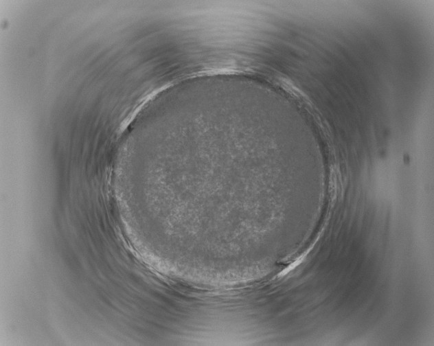 X0000052541353200507221415