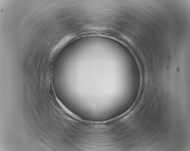 X0000052541354200507221415