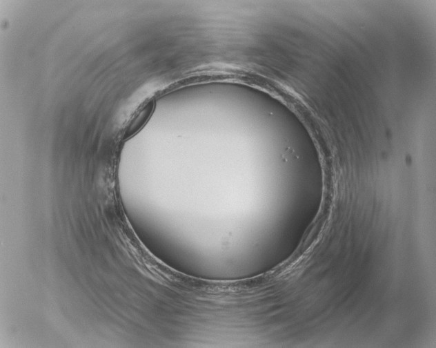 X0000052541355200507221415