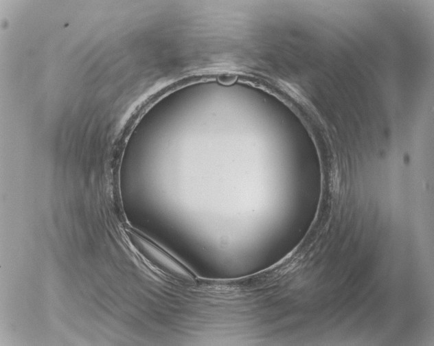 X0000052541356200507221415