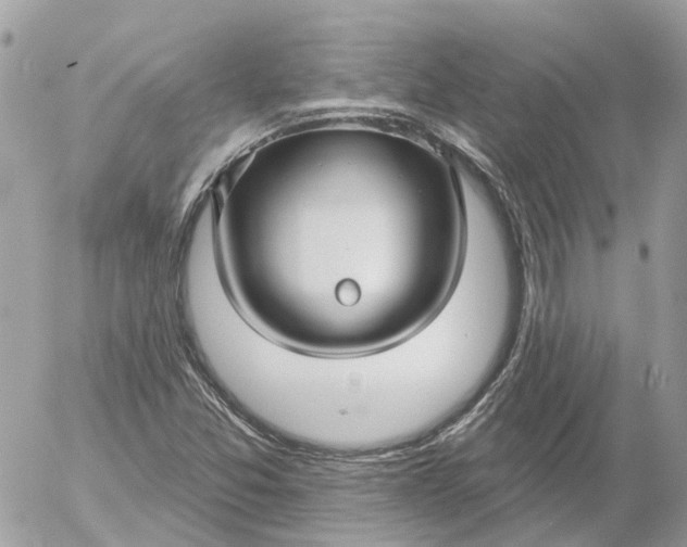 X0000052541357200507221415