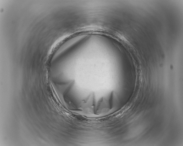 X0000052541358200507221415