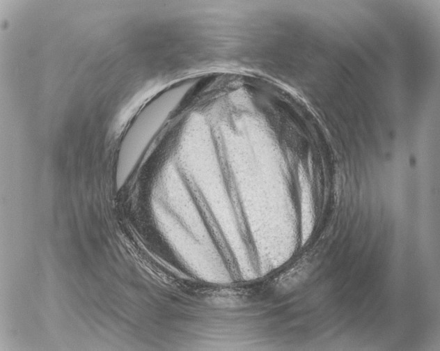 X0000052541359200507221415