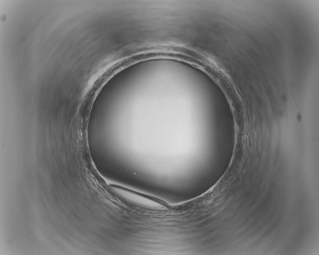 X0000052541360200507221415