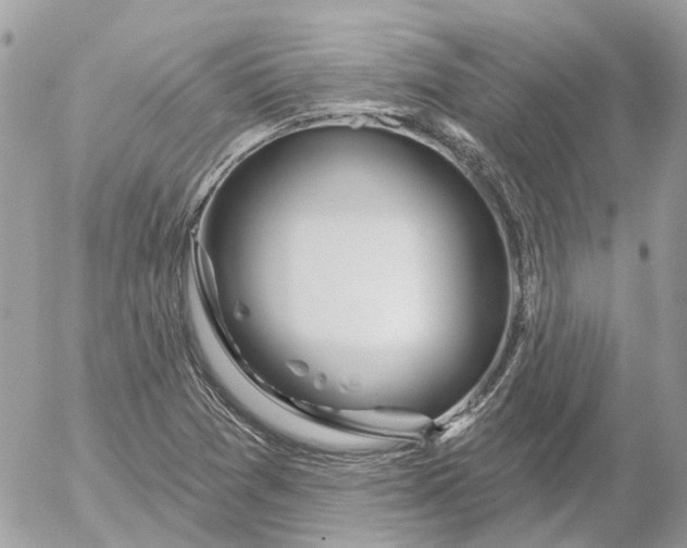 X0000052541361200507221415