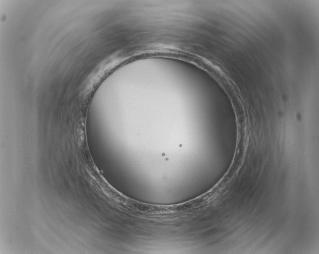 X0000052541363200507221415