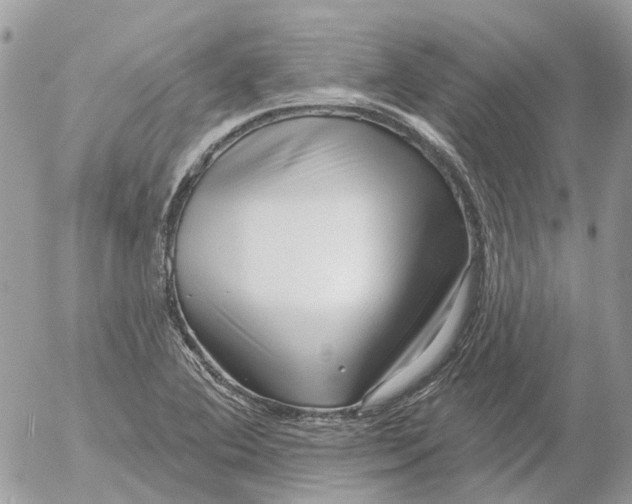 X0000052541364200507221415