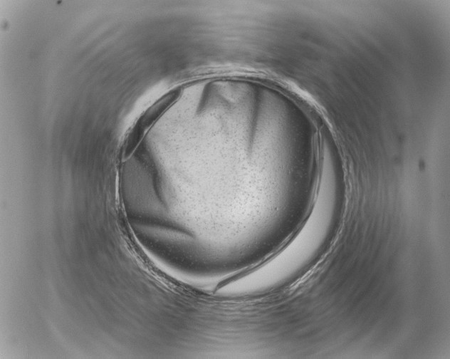 X0000052541365200507221415