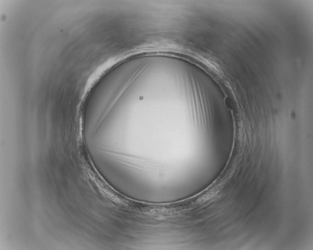 X0000052541366200507221415