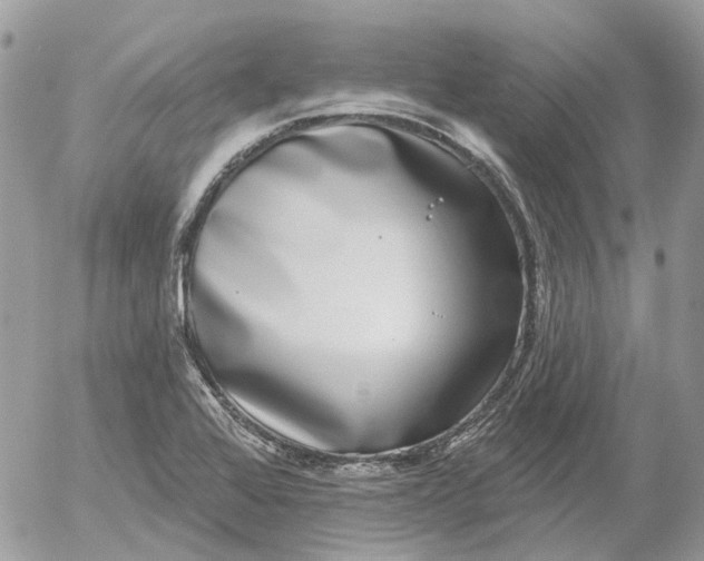 X0000052541368200507221415