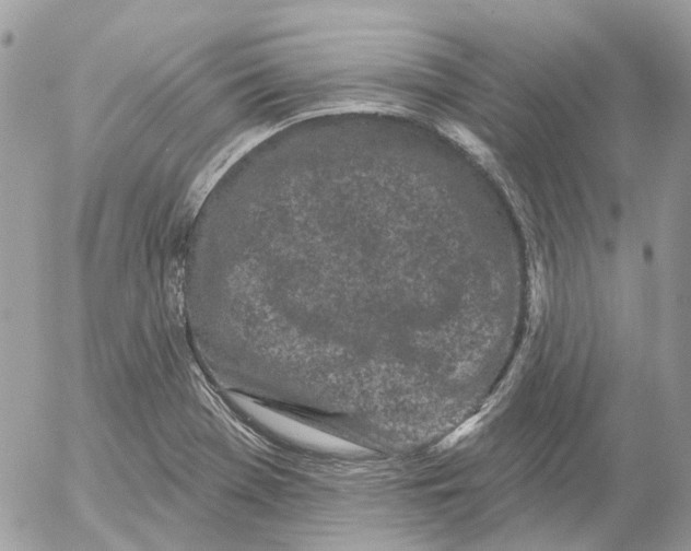 X0000052541369200507221415