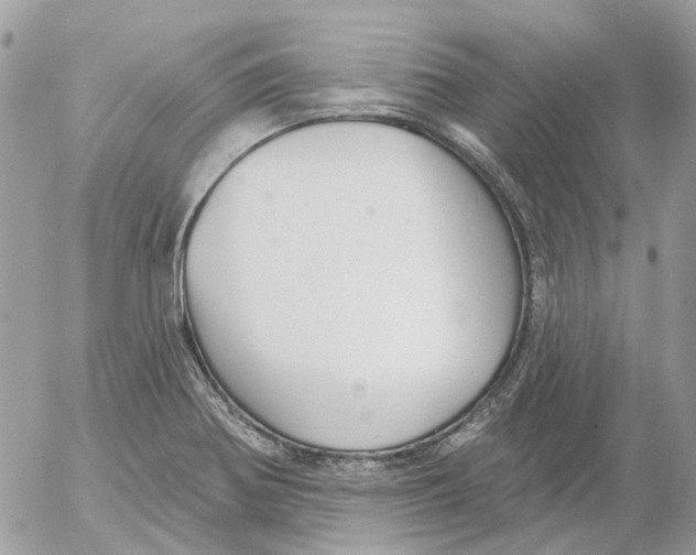 X0000052541370200507221415