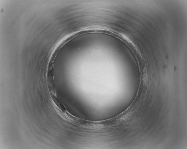 X0000052541372200507221415