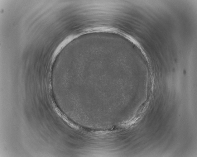 X0000052541373200507221415