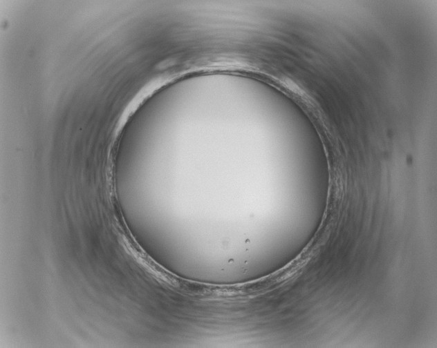 X0000052541374200507221415