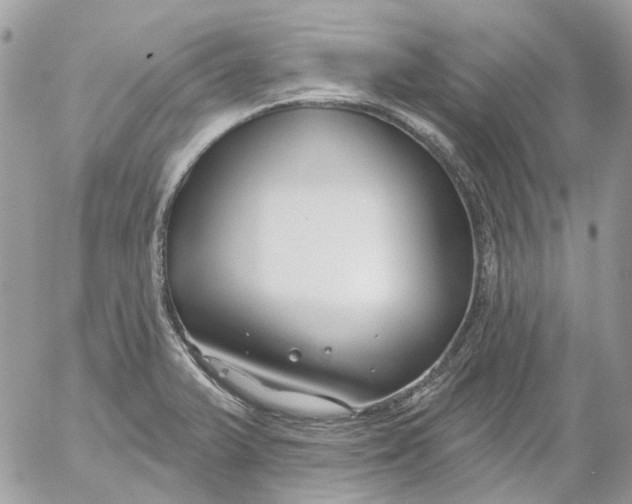 X0000052541375200507221415