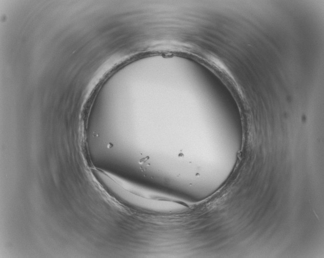 X0000052541376200507221415