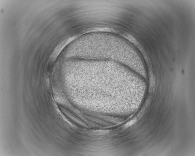 X0000052541377200507221415