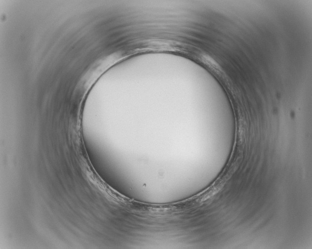 X0000052541378200507221415