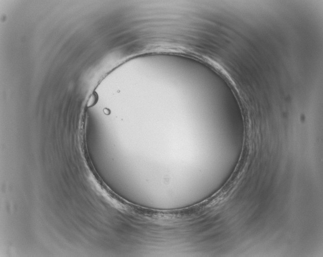 X0000052541379200507221415