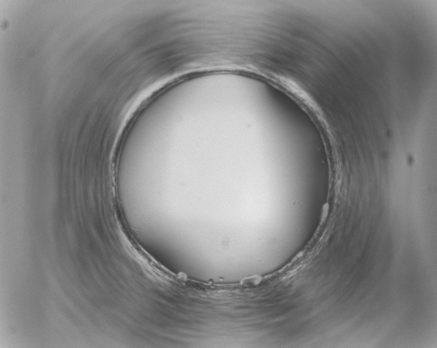 X0000052541380200507221415