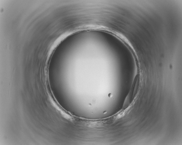 X0000052541381200507221415