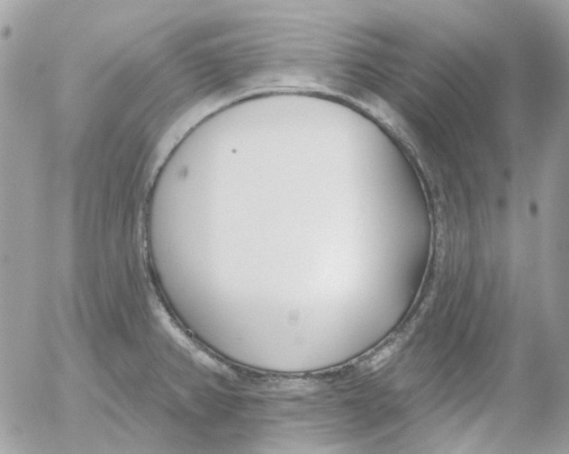 X0000052541382200507221415